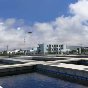 anaerobic reactor